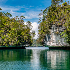 Shallow passage between a forested islet and a white cliff with palms, Waigeo, Raja Ampat, Indonesia