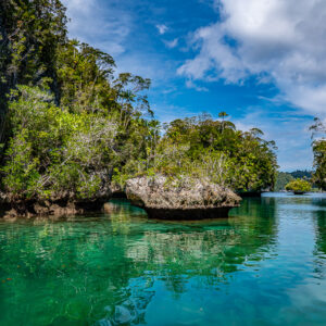 Clear green shallows with a mushroom rock between dark cliffs, Waigeo, Raja Ampat, Indonesia