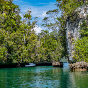 Vue verticale d’un chenal étroit avec falaise blanche et palmiers, Waigeo, Raja Ampat, Indonésie