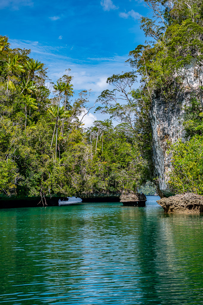Vue verticale d’un chenal étroit avec falaise blanche et palmiers, Waigeo, Raja Ampat, Indonésie