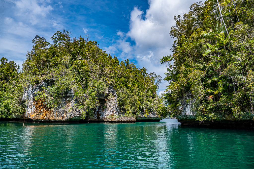 Jungle islets with orange-streaked cliffs over emerald water, Waigeo, Raja Ampat, Indonesia