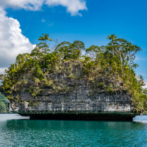 Undercut karst islet with layered rock and trees under blue sky, Waigeo, Raja Ampat, Indonesia