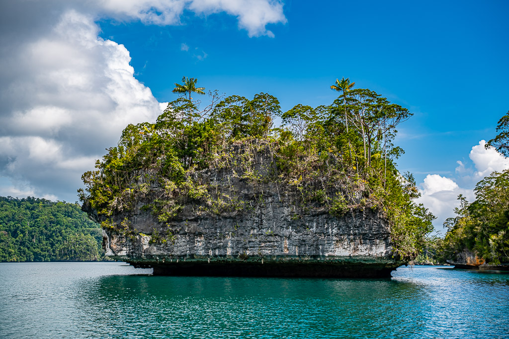 Undercut karst islet with layered rock and trees under blue sky, Waigeo, Raja Ampat, Indonesia