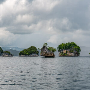 Alignement de petits îlots en champignon sur une mer calme sous un ciel couvert, Waigeo, Raja Ampat, Indonésie