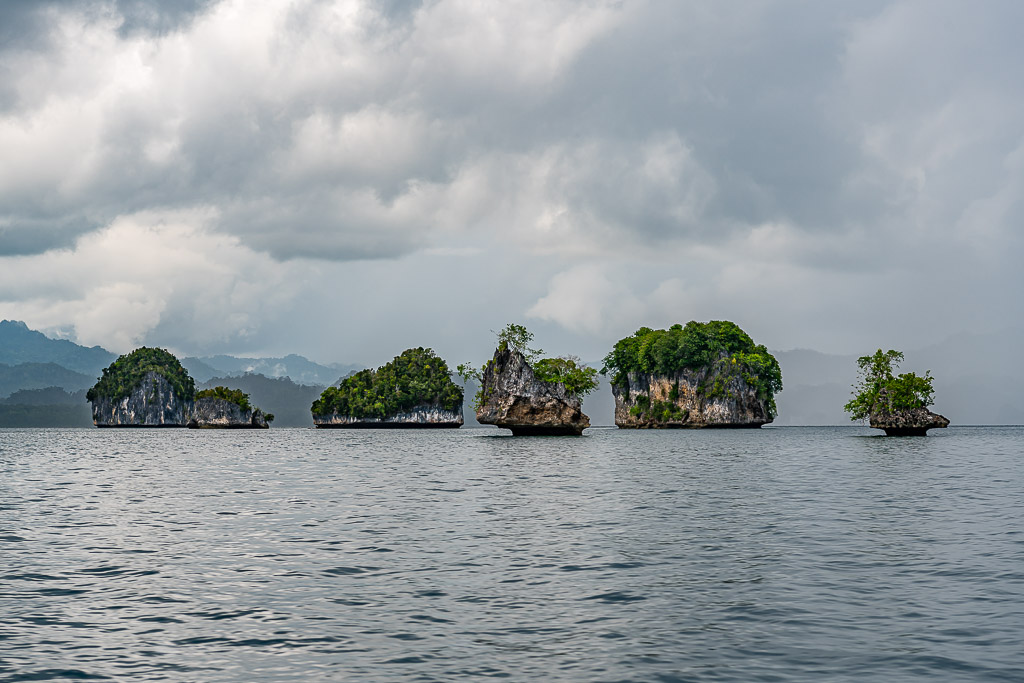 Alignement de petits îlots en champignon sur une mer calme sous un ciel couvert, Waigeo, Raja Ampat, Indonésie
