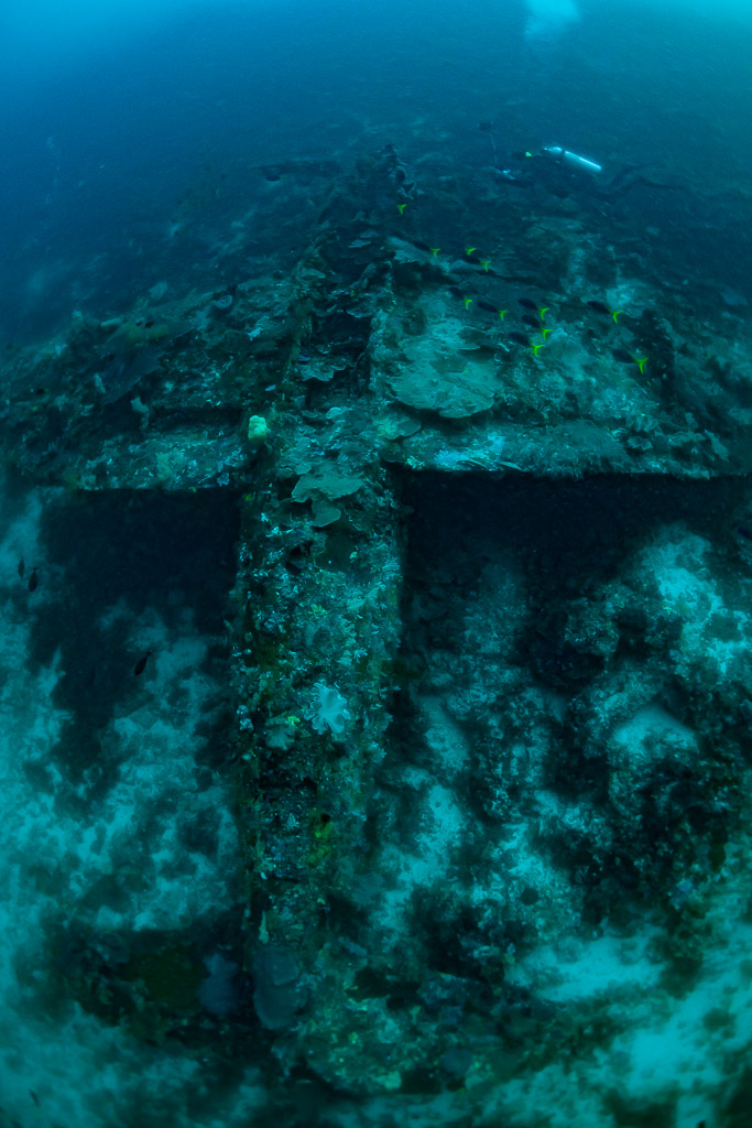 Épave d’avion P-47 Thunderbolt retournée sur un récif corallien, cadrage vertical, épave du P-47 Thunderbolt, Raja Ampat, Indonésie