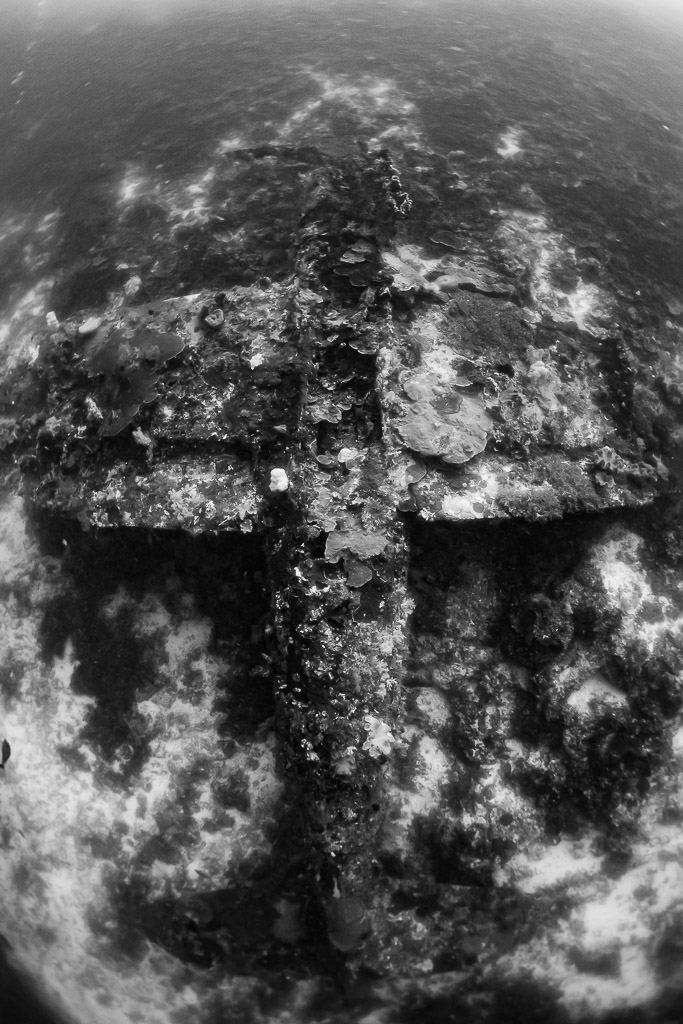 Black and white view of the P-47 Thunderbolt plane wreck, P-47 Thunderbolt wreck, Raja Ampat, Indonesia