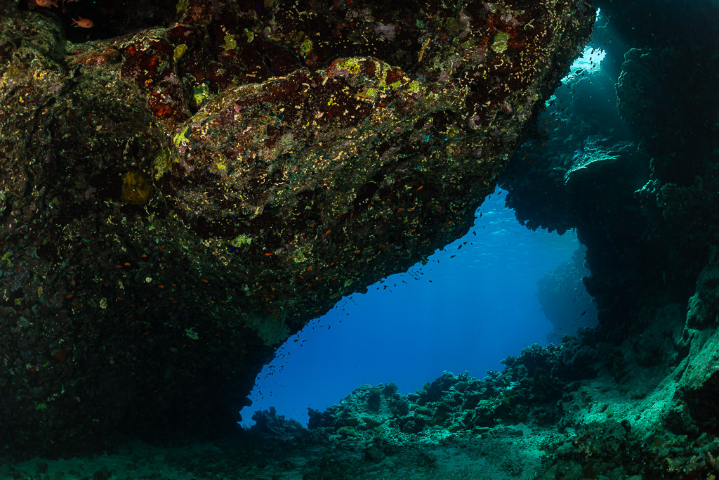 Dark reef cave entrance opening onto blue water, Red Sea, Egypt