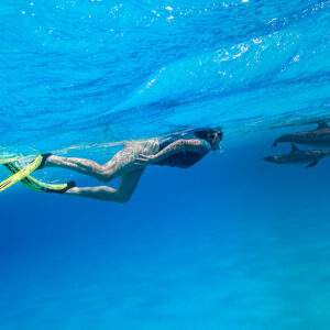 Woman snorkeler gliding under the surface near two spinner dolphins, Sataya Reef, Red Sea, Egypt