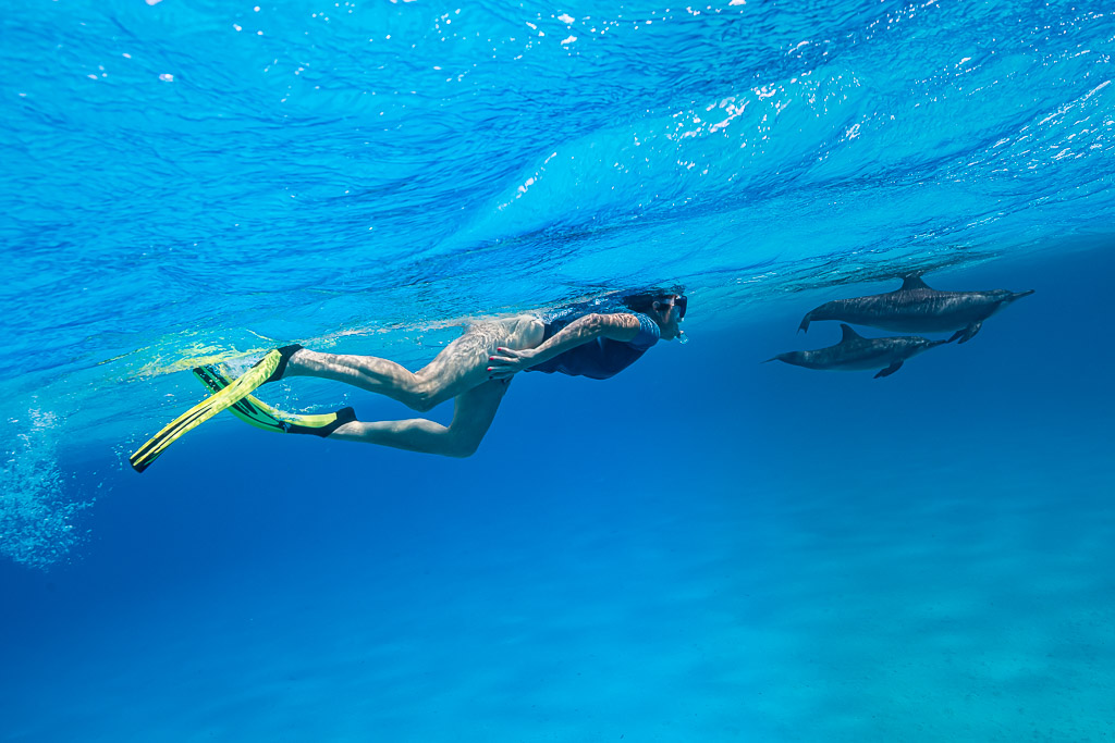 Woman snorkeler gliding under the surface near two spinner dolphins, Sataya Reef, Red Sea, Egypt