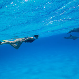Woman snorkeler stretched out underwater following spinner dolphins, Sataya Reef, Red Sea, Egypt