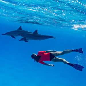 Woman snorkeler in red diving below a pair of spinner dolphins, Sataya Reef, Red Sea, Egypt