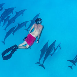 Homme en short rouge en apnée parmi les dauphins à long bec, vue de dessus, récif de Sataya, mer Rouge, Égypte
