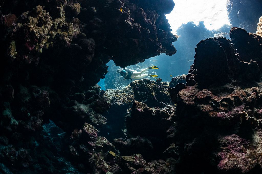 Woman diver passing beyond a dark cave arch, horizontal view, Shaab Claudio, Red Sea, Egypt