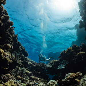 Sunlit cave opening seen from inside with a diver below, vertical, Shaab Claudio, Red Sea, Egypt