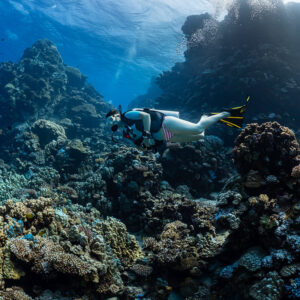 Woman diver swimming along a coral slope near a reef wall, Shaab Claudio, Red Sea, Egypt