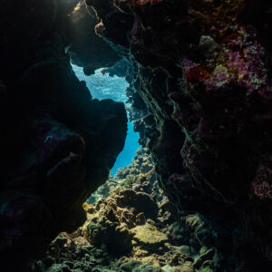 Narrow reef crevice opening toward sunlit water, vertical, Shaab Claudio, Red Sea, Egypt