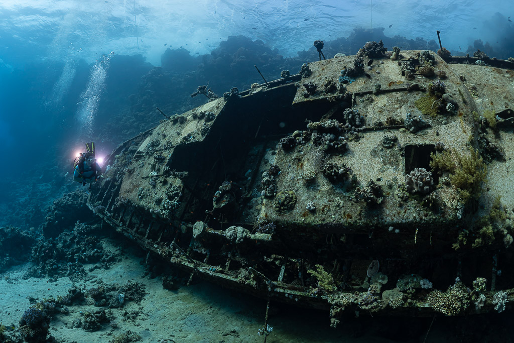Diver with a torch beside the hull of a sunken sailboat, Red Sea, Egypt