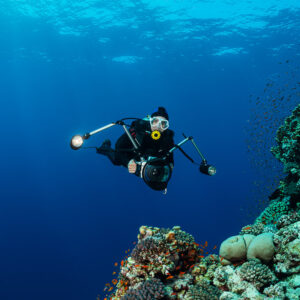 Diver with camera descending in blue water above the reef, Habili Gafar, Red Sea, Egypt
