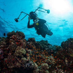 Underwater photographer silhouetted under the sun above a coral reef, Habili Gafar, Red Sea, Egypt