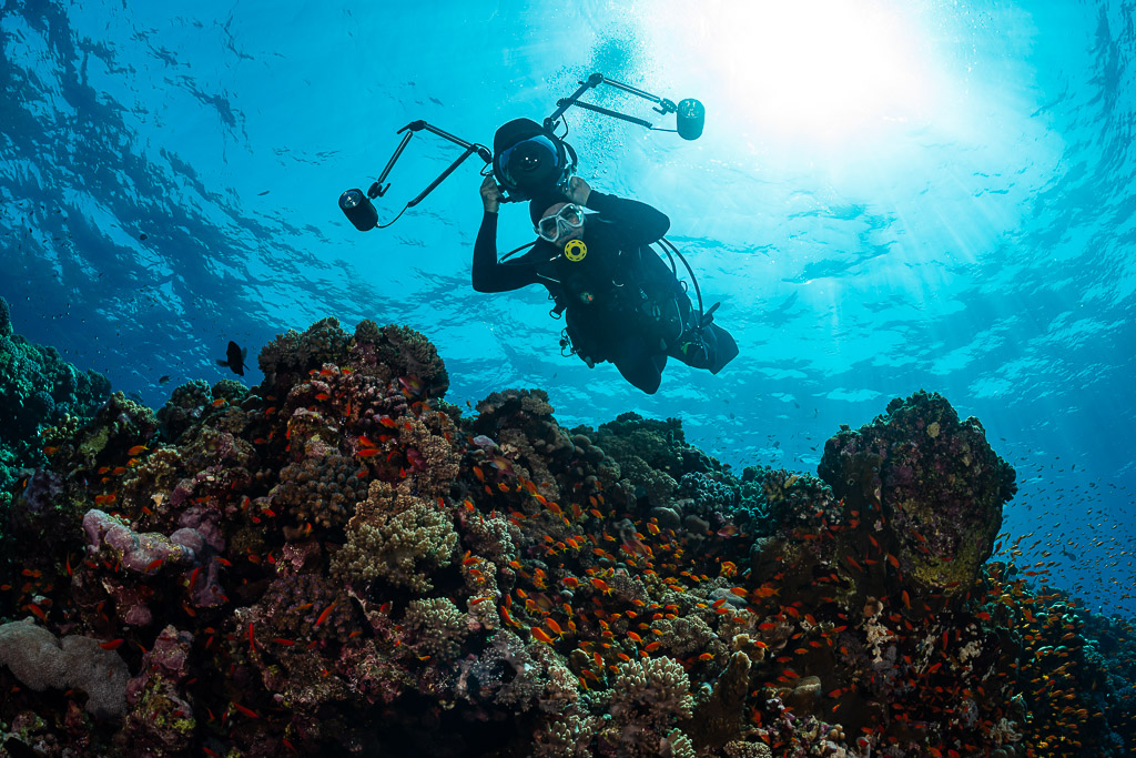 Underwater photographer silhouetted under the sun above a coral reef, Habili Gafar, Red Sea, Egypt