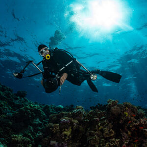 Diver with camera rig swimming toward the lens under sunburst, Habili Gafar, Red Sea, Egypt