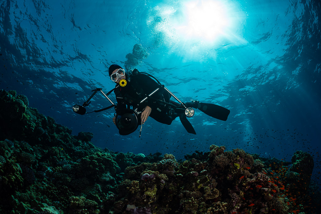 Diver with camera rig swimming toward the lens under sunburst, Habili Gafar, Red Sea, Egypt