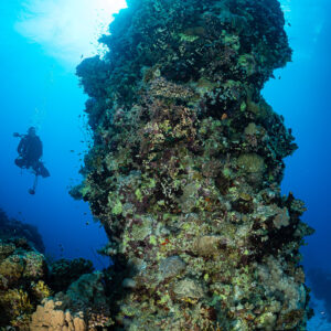 Tall coral pillar with a small diver at its base, Um Arouk, Red Sea, Egypt
