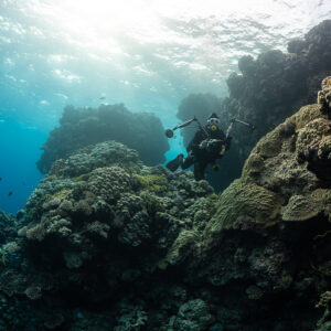 Diver exploring coral formations in hazy sunlit shallows, Um Arouk, Red Sea, Egypt