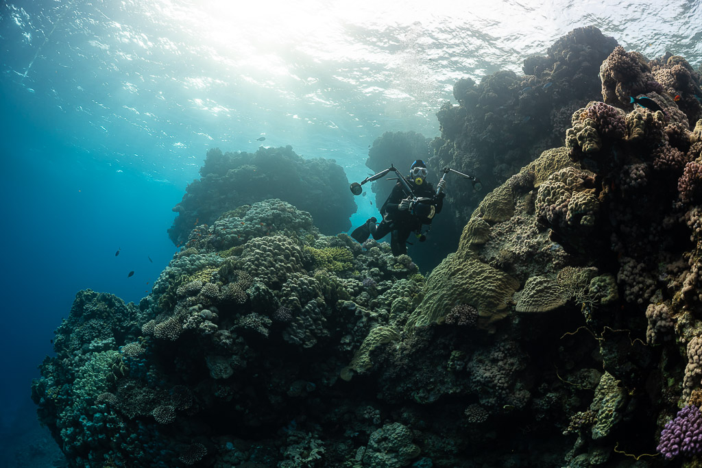 Diver exploring coral formations in hazy sunlit shallows, Um Arouk, Red Sea, Egypt