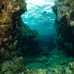 Narrow coral canyon opening toward the surface, Um Arouk, Red Sea, Egypt