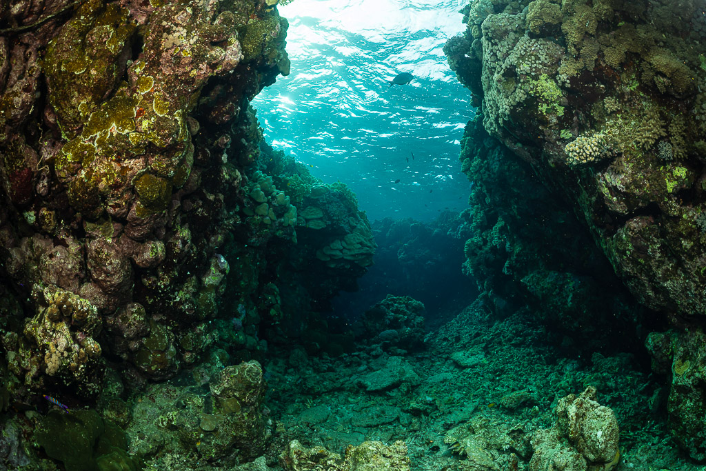Narrow coral canyon opening toward the surface, Um Arouk, Red Sea, Egypt