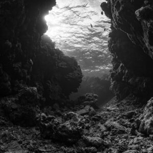 Black and white view of a coral canyon backlit by the surface, Um Arouk, Red Sea, Egypt