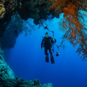 Diver framed in a reef arch hung with orange gorgonians, Habili Ali South, Red Sea, Egypt