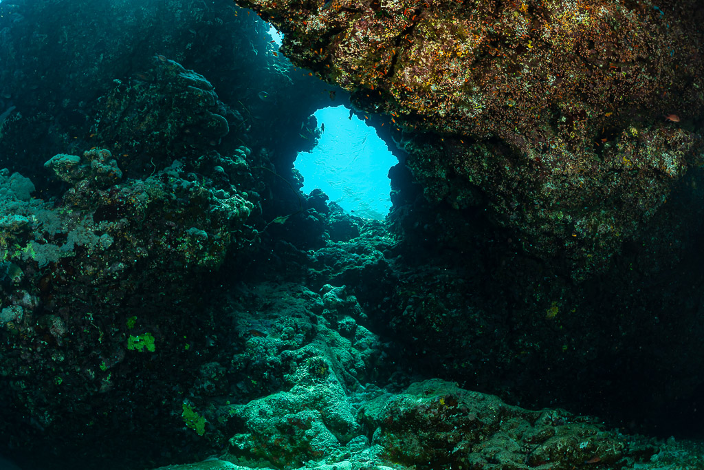 Reef cave with an opening to blue water, Habili Ali South, Red Sea, Egypt