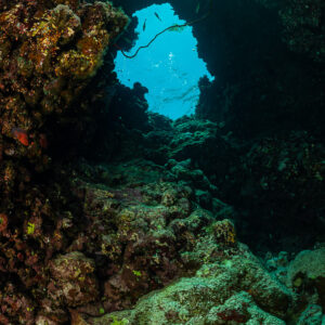 Cave passage with a window toward the surface, vertical, Habili Ali South, Red Sea, Egypt