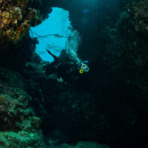 Diver silhouetted in a dark reef cave below a bright arch-shaped opening, Habili Ali South, Red Sea, Egypt