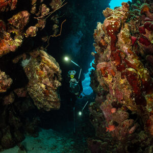 Diver with torch in a narrow crevice between colourful encrusted reef walls, Dangerous Reef South, Red Sea, Egypt