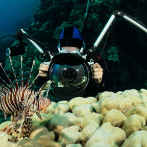 Rascasse volante devant un photographe sous-marin et son hublot, Dangerous Reef sud, mer Rouge, Égypte