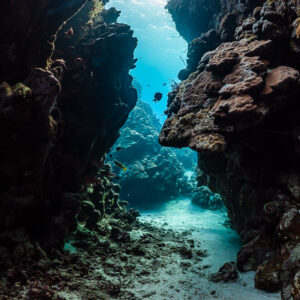 Narrow passage between two dark coral walls opening onto the reef, Dangerous Reef South, Red Sea, Egypt