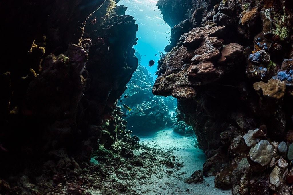Narrow passage between two dark coral walls opening onto the reef, Dangerous Reef South, Red Sea, Egypt
