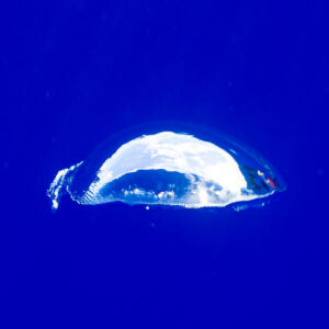 Mushroom-shaped air bubble catching light in deep blue water, Society Islands, French Polynesia