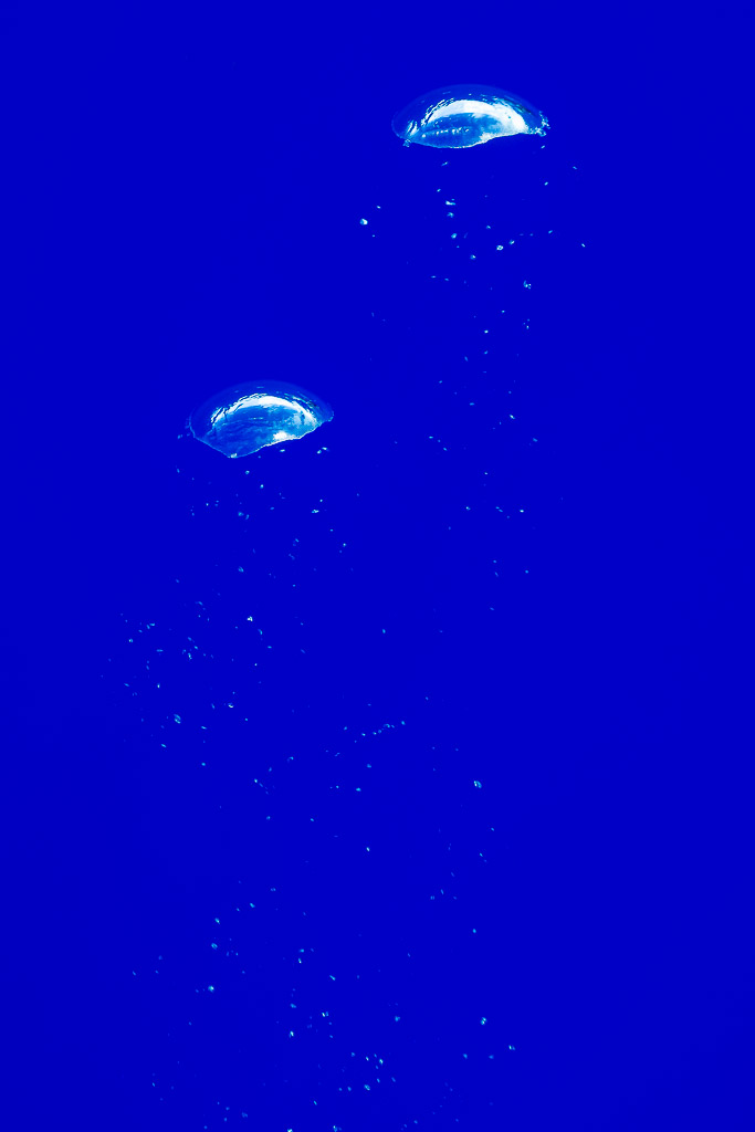 Air bubbles rising in a column toward the surface in deep blue, vertical frame, Society Islands, French Polynesia