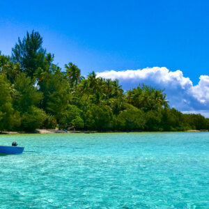 Small blue boat moored in turquoise shallows off a palm-covered islet, Moorea, Society Islands, French Polynesia