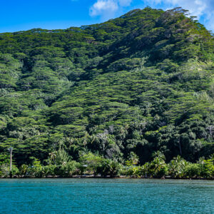 Lush green hillside rising above the turquoise shore, Moorea, Society Islands, French Polynesia