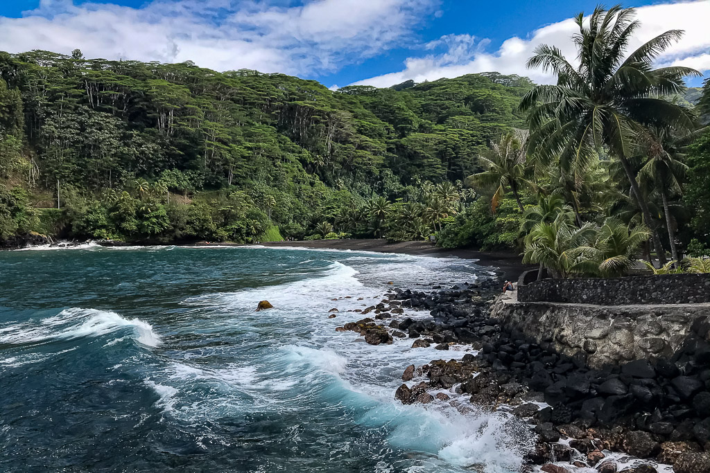 Waves breaking on a black rocky shore below palm trees and lush cliffs, Tahiti, Society Islands, French Polynesia