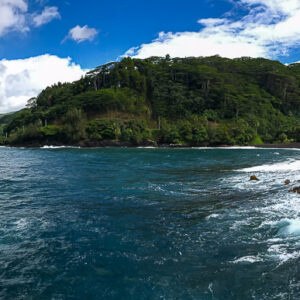 Panoramic view of a rugged coast with surf, palm trees and a seaside railing, Tahiti, Society Islands, French Polynesia