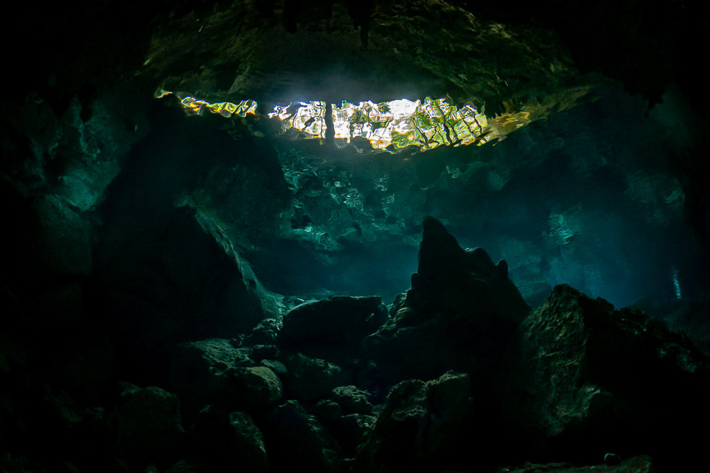Daylight opening seen from inside a dark cenote cavern, no diver, Quintana Roo, Mexico