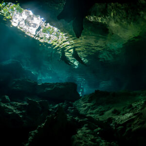 Jungle and sky reflected through the surface opening of a dark cenote, Quintana Roo, Mexico