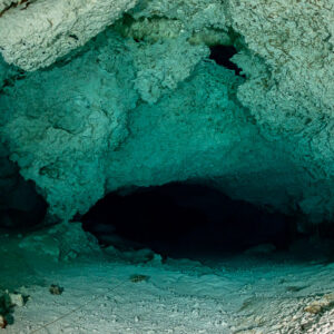 Wide empty cenote chamber with a dark tunnel opening at its base, Quintana Roo, Mexico
